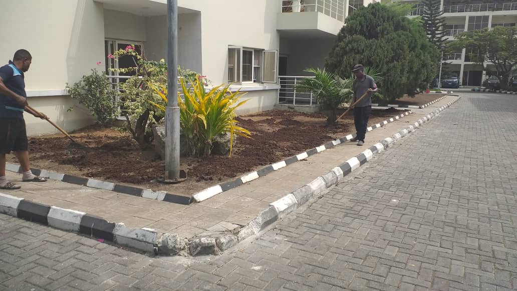Gardener spraying lawn and pathways